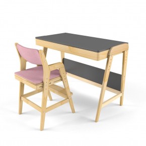 Комплект растущий стол и стул с чехлом 38 попугаев «Вуди» (Серый, Береза, Розовый) в Сысерти - sysert.mebel-74.com | фото