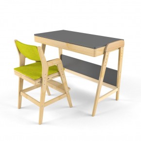 Комплект растущий стол и стул с чехлом 38 попугаев «Вуди» (Серый, Без покрытия, Грин) в Сысерти - sysert.mebel-74.com | фото