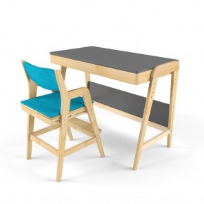 Комплект растущий стол и стул с чехлом 38 попугаев «Вуди» (Серый, Без покрытия, Лазурь) в Сысерти - sysert.mebel-74.com | фото