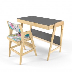 Комплект растущий стол и стул с чехлом 38 попугаев «Вуди» (Серый, Без покрытия, Мечта) в Сысерти - sysert.mebel-74.com | фото