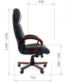 Кресло для руководителя CHAIRMAN  421 (Натуральная кожа) Черное в Сысерти - sysert.mebel-74.com | фото
