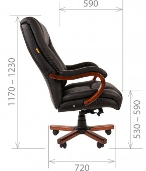 Кресло для руководителя CHAIRMAN  503 (Кожа) Черное в Сысерти - sysert.mebel-74.com | фото