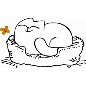 Кровать двухуровневая Кот № 900.1 ЛЕВАЯ (туя светлая/белый) в Сысерти - sysert.mebel-74.com | фото