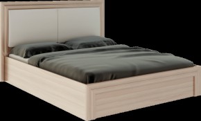 Кровать 1.6 Глэдис М32 с ПМ и мягкой частью (ЯШС/Белый) в Сысерти - sysert.mebel-74.com | фото