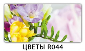 Обеденный раздвижной стол Бриз с фотопечатью Цветы R044 в Сысерти - sysert.mebel-74.com | фото