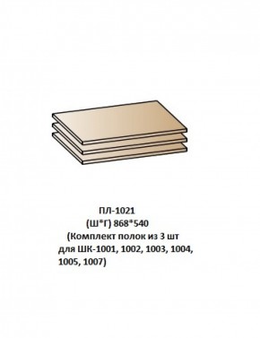 ПЛ-1021 (Комплект полок из 3 шт для ШК-1001, 1002, 1003, 1004, 1005, 1007) в Сысерти - sysert.mebel-74.com | фото