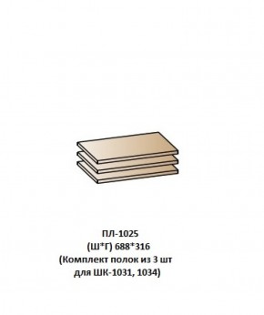 ПЛ-1025 (Комплект полок из 3 шт для ШК-1031, 1034) в Сысерти - sysert.mebel-74.com | фото