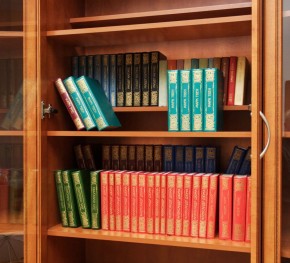 Шкаф для книг арт. 200 в Сысерти - sysert.mebel-74.com | фото