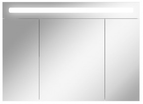 Шкаф-зеркало Аврора 100 с подсветкой LED Домино (DV8012HZ) в Сысерти - sysert.mebel-74.com | фото