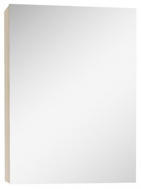 Шкаф-зеркало Мечта 40 Дуб сонома АЙСБЕРГ (DM2317HZ) в Сысерти - sysert.mebel-74.com | фото
