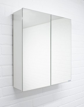 Шкаф-зеркало Мечта 50 АЙСБЕРГ (DM2303HZ) в Сысерти - sysert.mebel-74.com | фото