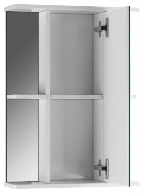 Шкаф-зеркало Норма 2-50 правый АЙСБЕРГ (DA1608HZ) в Сысерти - sysert.mebel-74.com | фото