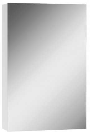 Шкаф-зеркало Норма 45 1 дверь АЙСБЕРГ (DA1634HZ) в Сысерти - sysert.mebel-74.com | фото