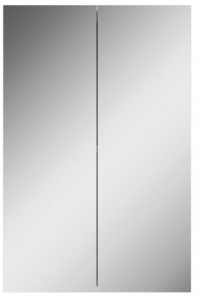 Шкаф-зеркало Норма 45 2 двери АЙСБЕРГ (DA1635HZ) в Сысерти - sysert.mebel-74.com | фото