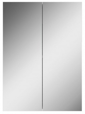 Шкаф-зеркало Норма 50 2 двери АЙСБЕРГ (DA1636HZ) в Сысерти - sysert.mebel-74.com | фото