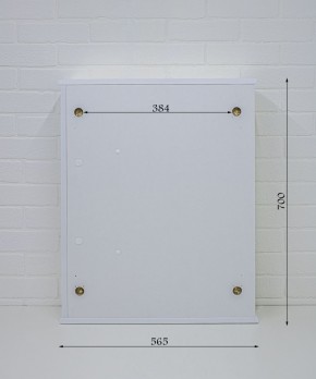 Шкаф-зеркало Радуга Белый 55 левый/правый АЙСБЕРГ (DA1138HZR) в Сысерти - sysert.mebel-74.com | фото