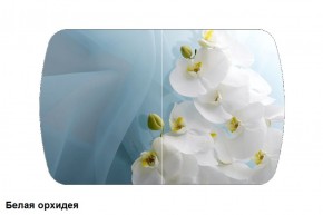Стол Бостон 900*600 (опоры Брифинг) Стекло/фотопечать Белая Орхидея в Сысерти - sysert.mebel-74.com | фото