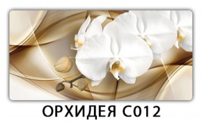 Стол раздвижной Трилогия с фотопечатью Орхидея C012 в Сысерти - sysert.mebel-74.com | фото