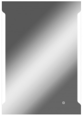 Зеркало Оттава 1000х700 с подсветкой Домино (GL7028Z) в Сысерти - sysert.mebel-74.com | фото